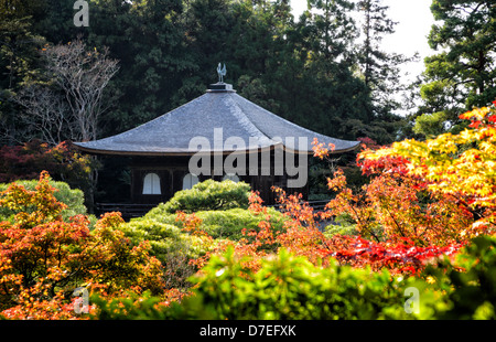 L'automne (automne) arbres colorés entourent Ginkaku-ji (Pavillon d'Temple), l'un des plus célèbres temples de Kyoto, Japon Banque D'Images