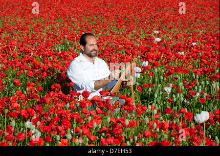 Maison de la peinture en plein air dans les champs de l'homme des coquelicots sauvages avec l'Espagne Banque D'Images