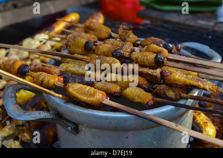 Suri - un grub qui se nourrit de la sève de palmier, grillé et servi de snack food à Iquitos, Pérou Banque D'Images