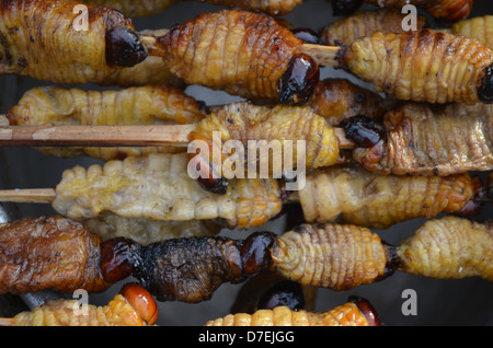 Suri - un grub qui se nourrit de la sève de palmier, grillé et servi de snack food à Iquitos, Pérou Banque D'Images