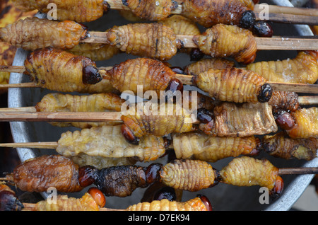 Suri - un grub qui se nourrit de la sève de palmier, grillé et servi de snack food à Iquitos, Pérou Banque D'Images