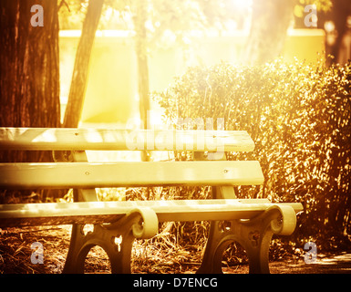 Magnifique banc en bois dans le parc, le jaune vif de la lumière du soleil, pour se reposer, paisible matin, l'heure d'été Banque D'Images
