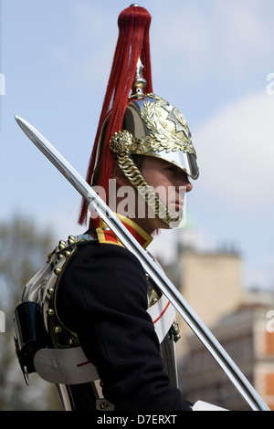 L'une de la Reine d'Angleterre chevaux sur la garde au Horse Guards London England Banque D'Images