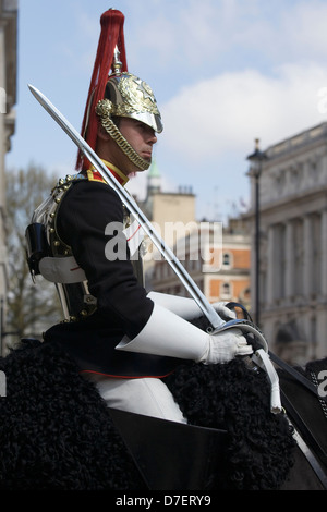 L'une de la Reine d'Angleterre chevaux sur la garde au Horse Guards London England Banque D'Images