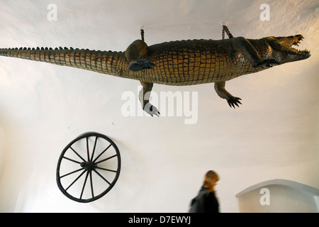 Le légendaire dragon de Brno et la roue à l'entrée de l'Ancien hôtel de ville. Brno République tchèque Banque D'Images