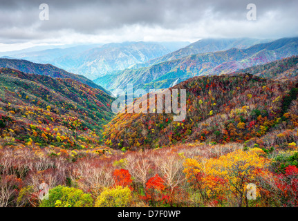 Paysage dans le Parc National de Nikko à Fukuoka, au Japon. Banque D'Images