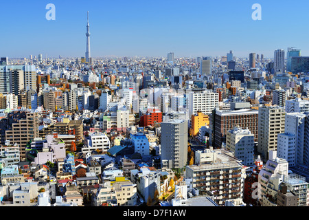 Paysage urbain urbaine de Tokyo avec la distance de la Tokyo Skytree. Banque D'Images