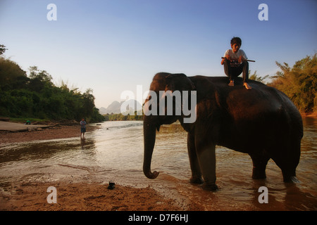 Un jeune cornac sur son éléphant en Thaïlande Banque D'Images