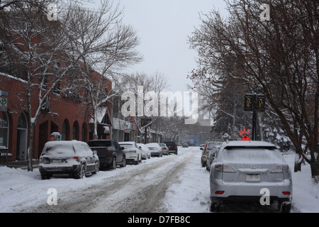 Après la tempête de neige de printemps à Calgary, Alberta Banque D'Images