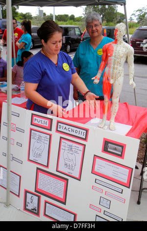 Miami Florida,Homestead,Harvest Farmers Market at Verde Gardens,femme hispanique femmes,acupuncture,acupuncteur,exposant,affiche,modèle d'échelle,hum Banque D'Images