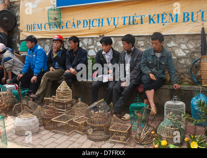 Au nord-est de Sapa Vietnam - Hommes de hilltribe hmong noir vendre des oiseaux Banque D'Images