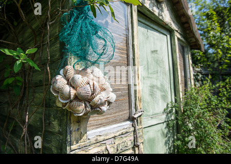 Cabane de plage dans un jardin de ville avec panneaux et lavé de chaux décorations shell Banque D'Images