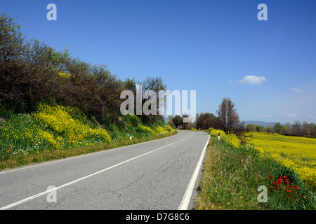 Italie, Toscane, Val d'Orcia, route de campagne Banque D'Images