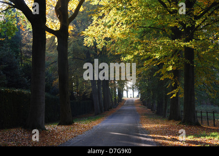 Route de campagne près de Roermond Pays-Bas Limburg Château Hillenraad Banque D'Images