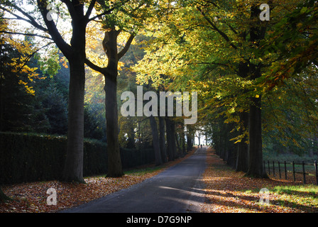 Route de campagne près de Roermond Pays-Bas Limburg Château Hillenraad Banque D'Images