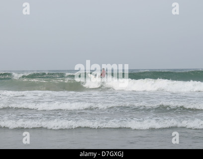 Une scène de surf surf Inde Côte d'épices et SUP Championship, Kovalam beach, Kerala, Inde Banque D'Images