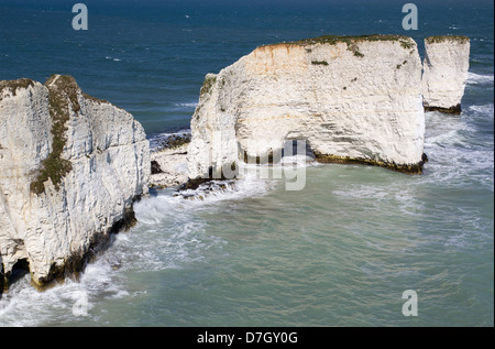 Old Harry Rocks formations craie sur Handfast Point, à l'île de Purbeck sur la côte jurassique Banque D'Images