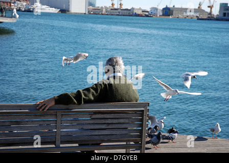 Seul vieil homme assis sur le banc à regarder et nourrir les oiseaux/les mouettes dans le port de Barcelone Banque D'Images