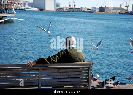 Seul vieil homme assis sur le banc à regarder et nourrir les oiseaux/les mouettes dans le port de Barcelone Banque D'Images