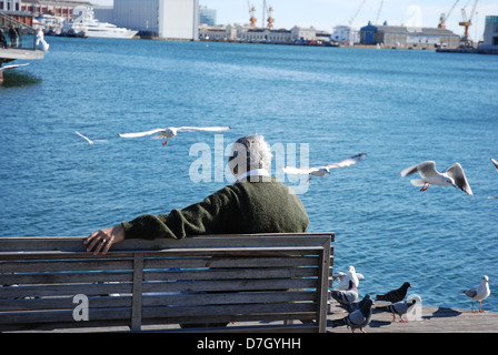 Seul vieil homme assis sur le banc à regarder et nourrir les oiseaux/les mouettes dans le port de Barcelone Banque D'Images