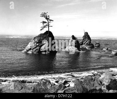 Photographie montrant la beauté pittoresque de la côte de l'Oregon près de Tillamook, mettant en évidence le littoral accidenté et les vues panoramiques sur l'océan. Banque D'Images