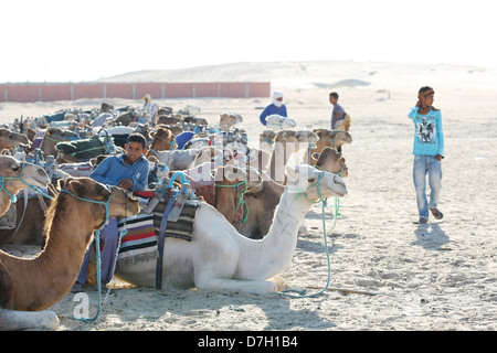 Beduins vous attendent les touristes à monter leurs chameaux dans le désert du Sahara Le 17 septembre 2012 à Douz, Kebili, Tunisie Banque D'Images