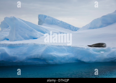 L'île detaille, au sud du Cercle Antarctique, l'Antarctique. Banque D'Images