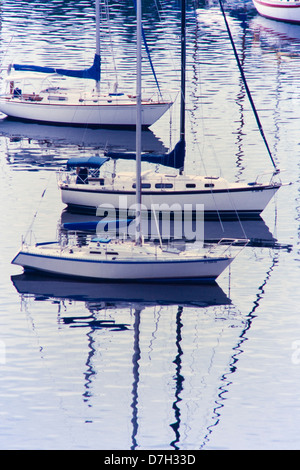 Voiliers à l'ancre, Biscayne Bay, Miami, Floride Banque D'Images