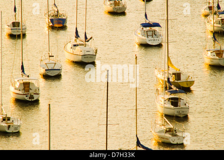 Voiliers à l'ancre, Biscayne Bay, Miami, Floride Banque D'Images