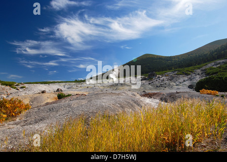 L'herbe jaune et la vapeur chaude springs à l'Mendeleev volcan de l'île de Kunashir. La Russie, Îles Kouriles du sud Banque D'Images