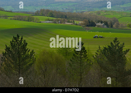 L'épandage de fumier sur les terres agricoles du tracteur sous la cicatrice du Scoutisme, près de Windermere, Cumbria, Angleterre, Royaume-Uni Banque D'Images