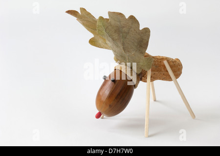 La figure animale moose fait de glands feuilles de chêne Photo Studio d'arachide contre fond blanc Banque D'Images