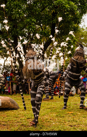 Danseurs serpent divertir, peint comme les serpents de mer, pendant le festival annuel de la culture traditionnelle dans les îles Banks, au nord du Vanuatu Banque D'Images