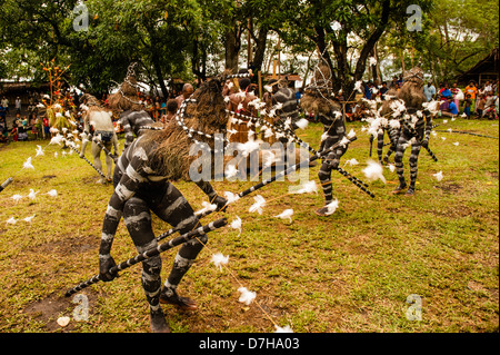 Danseurs serpent divertir, peint comme les serpents de mer, pendant le festival annuel de la culture traditionnelle dans les îles Banks, au nord du Vanuatu Banque D'Images