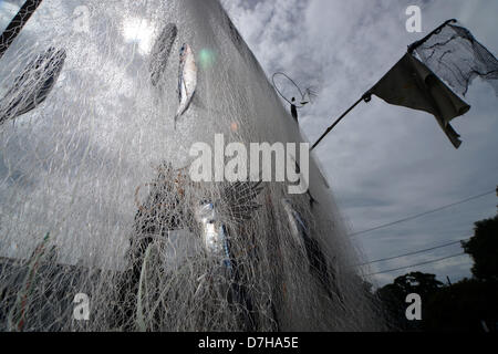 08 mai 2013, la province de Sarangani, PHIIPPINES, fraîchement pêché les poissons volants sont vus sur des filets de poisson séché sous le soleil dans la ville de Maitum, Sarangani Province. Séché spécial poisson volant mariné est un les meilleures spécialités de la ville de Maitum. Banque D'Images