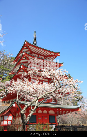 Le Japon, préfecture de Yamanashi, Pagode de Fujiyoshida Banque D'Images