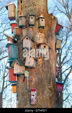 Un arbre décoré avec de nombreuses boîtes d'oiseaux au printemps. Banque D'Images