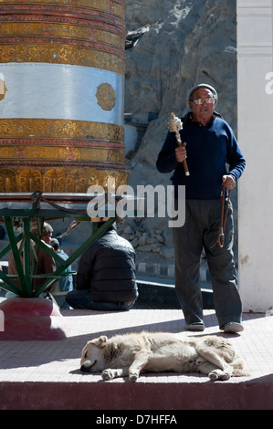 Un homme avec des roues de prière bouddhiste et chapelet en main, promenades autour de l'or un énorme moulin à prière dans Leh-Ladakh. L'Inde Banque D'Images