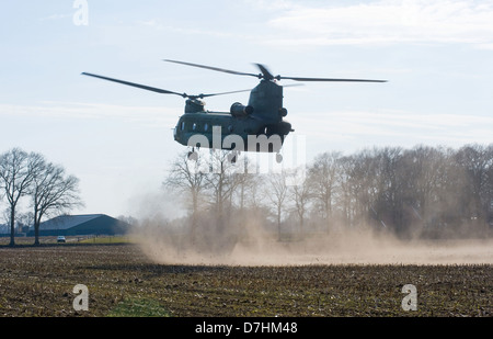 Un hélicoptère Chinook de l'armée néerlandaise est sur le point d'atterrir sur un champ dans les Pays-Bas Banque D'Images