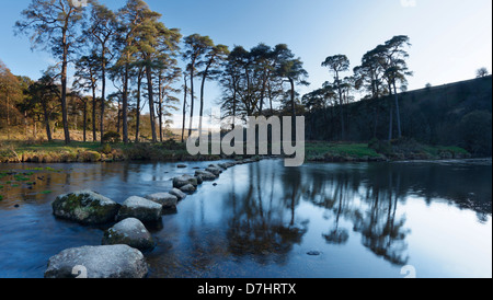 Stepping Stones dans l'ouest de la rivière Dart. Parc National de Dartmoor. Devon. L'Angleterre. UK. Banque D'Images