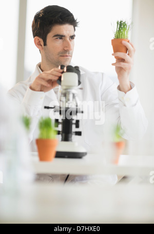 Scientist doing research on microscopes Banque D'Images