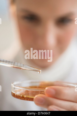 Close-up de scientifique à la pipette et petri dish Banque D'Images