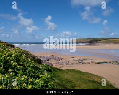 Plage de Polzeath, Cornwall, UK, 2013 Banque D'Images