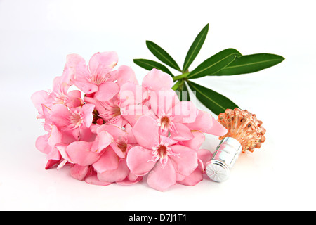 Bouquet de fleurs rose clair et orange des flacons de parfum sur le fond blanc. Banque D'Images