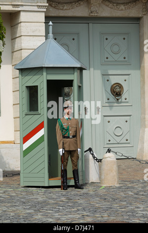 Soldat qui monte la garde à Sandor Palace résidence officielle du Président, Castle Hill Zone, Budapest Banque D'Images