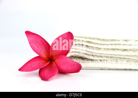 Les fleurs rouges avec une serviette blanche sur fond blanc. Banque D'Images