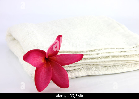 Les fleurs rouges avec une serviette blanche sur fond blanc. Banque D'Images