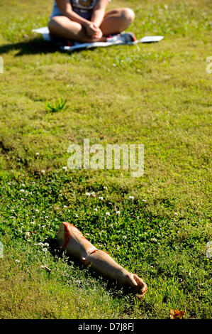 Vernon Alabama, USA. 8 mai 2013. Un membre artificiel est utilisé au cours de l'exercice d'une perceuse à la Lamar Comté l'École de la technologie dans la région de Vernon, New York. Crédit : Tim Thompson/Alamy Live News Banque D'Images