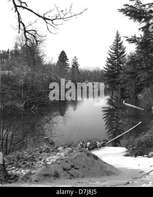 Cette peinture de paysage de Wanda Gifford capture le flux serein de Mary's River et les arbres environnants le long de la passerelle dans le parc Avery. La pièce reflète un cadre naturel paisible avec l'eau comme élément central. Banque D'Images
