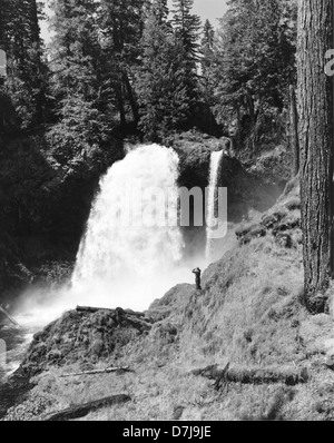 Sahalie Falls, près du cours supérieur de la rivière McKenzie Banque D'Images